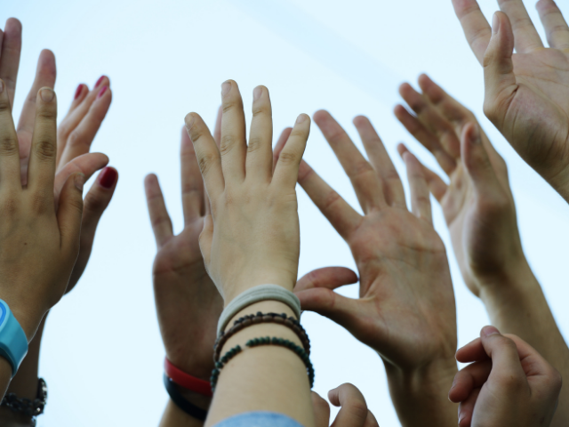 A photo of a diverse collection of raised hands