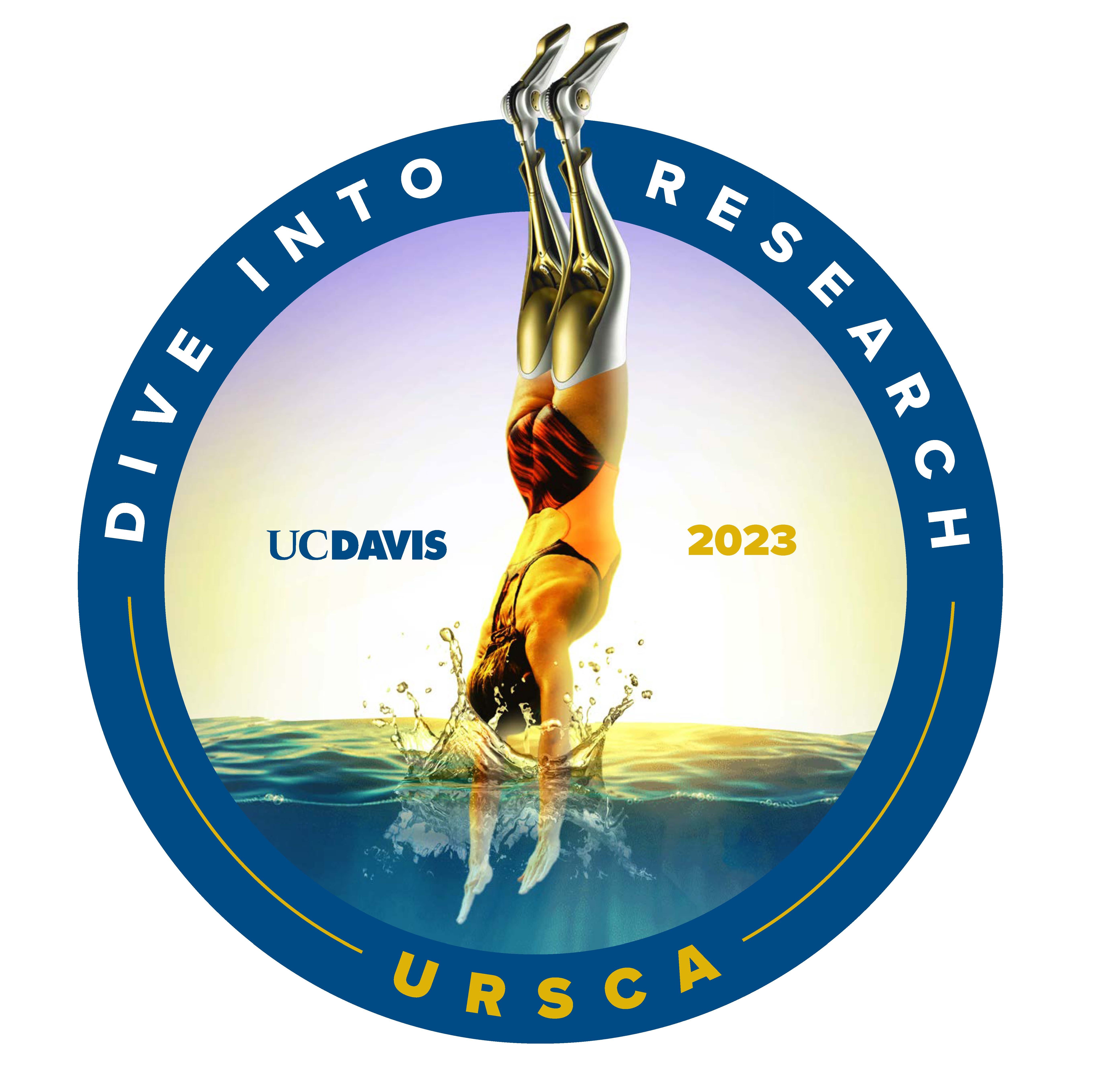 Graphic design of a diver with prosthetic legs diving into an ocean that is shown in a cutaway view.  the background is purplish and bluish with yellow white sunlight behind the diver. 
