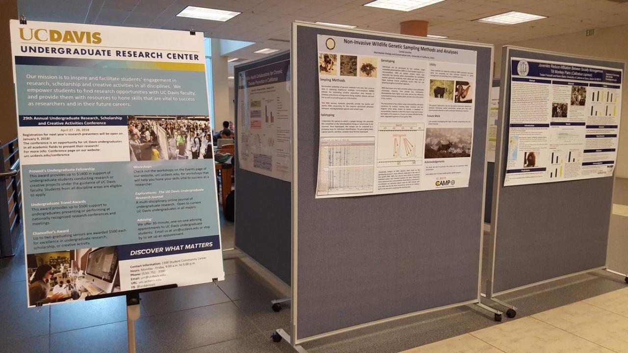 Photo of posters displayed in Shields Library