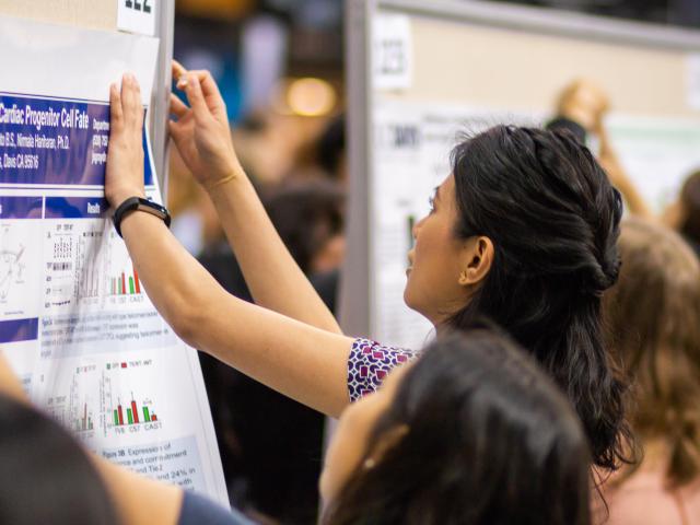 Undergraduate research student pinning up a poster at URC conference