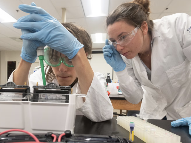 Students engineering enzymes to meet human needs